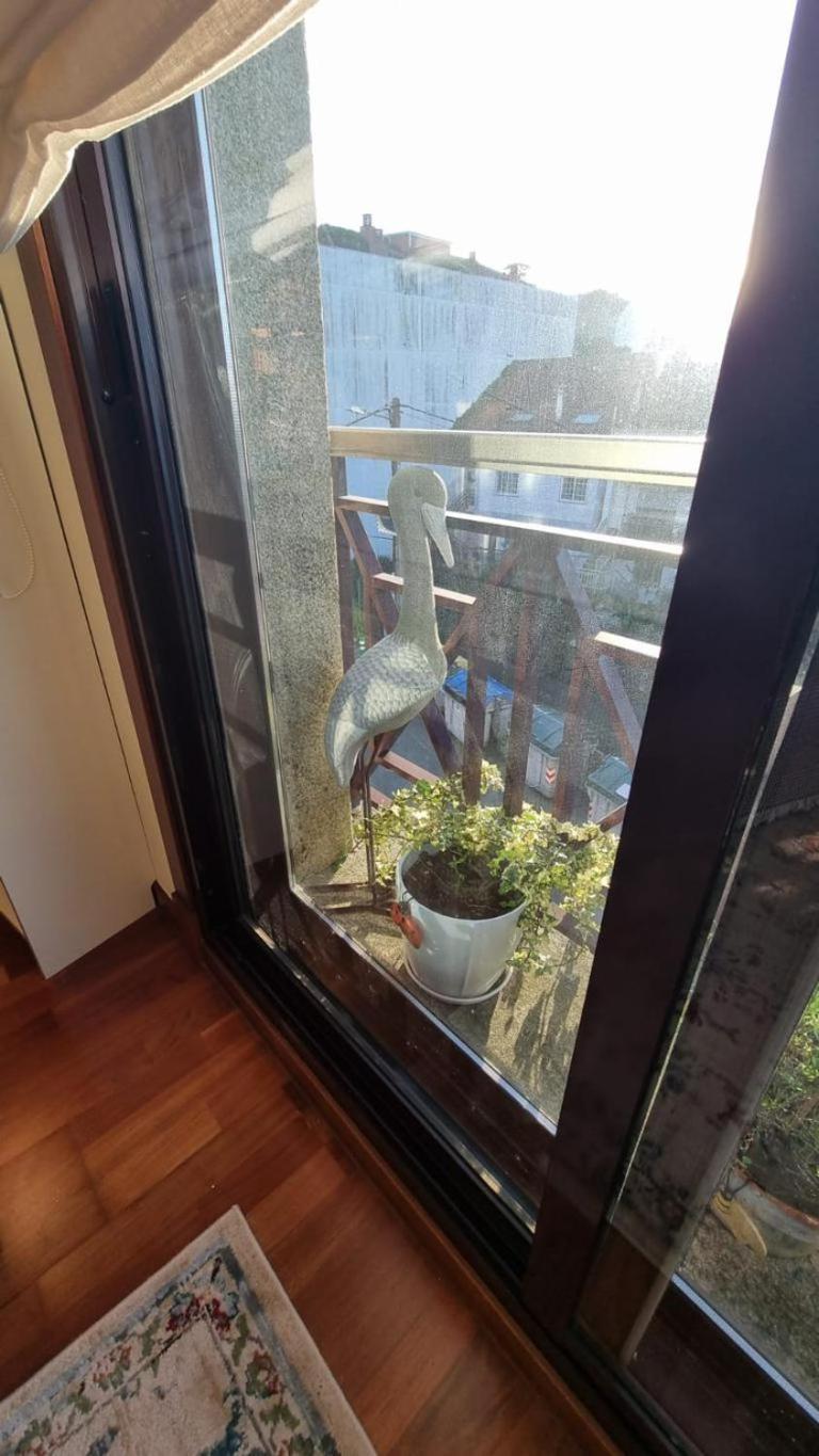 Apartamento 1 Dormitorio 4 Personas En El Grove O Grove Exterior foto